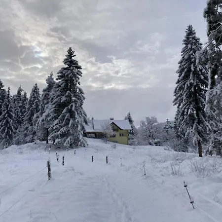 Kurescek Lägenhet Ig